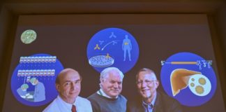 Nobel de Medicina para tres descubridores del virus de la hepatitis C, en plena pandemia