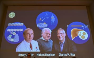 Nobel de Medicina para tres descubridores del virus de la hepatitis C, en plena pandemia