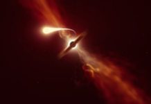 Qué es la «espaguetización», el fenómeno con el que científicos observaron el momento en el que un agujero negro devora una estrella