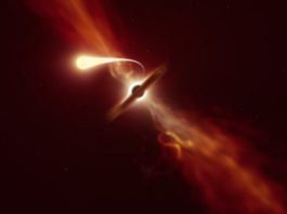 Qué es la «espaguetización», el fenómeno con el que científicos observaron el momento en el que un agujero negro devora una estrella