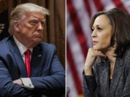 Harris y Trump calientan la campaña en Florida en último fin de semana