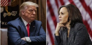 Harris y Trump calientan la campaña en Florida en último fin de semana