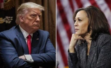 Harris y Trump calientan la campaña en Florida en último fin de semana