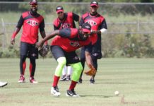 Olmo Rosario: “Esta temporada será muy especial en mi carrera”