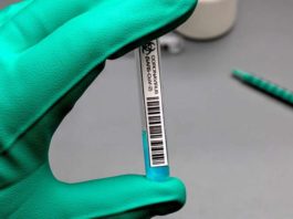 Vacuna de Pfizer “90% efectiva” contra el COVID-19 no utilizó células de bebés abortados