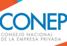 Pedro Brache o Ligia Bonetti: CONEP elige a su presidente en un escenario de pugnas