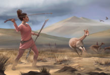 Una tumba de 9.000 años de antigüedad revela una historia diferente del papel de las mujeres en las sociedades prehistóricas de América (VIDEO)