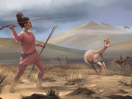 Una tumba de 9.000 años de antigüedad revela una historia diferente del papel de las mujeres en las sociedades prehistóricas de América (VIDEO)