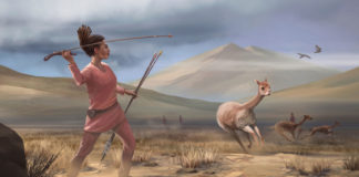 Una tumba de 9.000 años de antigüedad revela una historia diferente del papel de las mujeres en las sociedades prehistóricas de América (VIDEO)