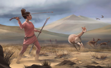 Una tumba de 9.000 años de antigüedad revela una historia diferente del papel de las mujeres en las sociedades prehistóricas de América (VIDEO)