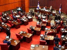 El Senado elige a la Fuerza del Pueblo, representante de la segunda mayoría para el Consejo de la Magistratura