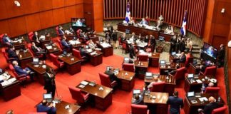 El Senado elige a la Fuerza del Pueblo, representante de la segunda mayoría para el Consejo de la Magistratura