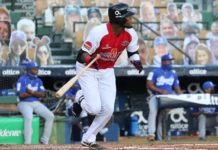 Leones derrotan por paliza al Licey