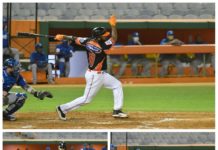 Navarro, Sánchez y Candelario comandan victoria de los Toros sobre el Licey