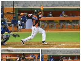 Navarro, Sánchez y Candelario comandan victoria de los Toros sobre el Licey