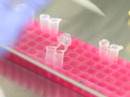 Científicos británicos trabajan en un nuevo medicamento que otorgaría inmunidad instantánea contra la COVID-19