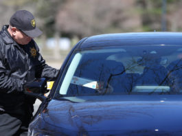 Arrestan a un joven en EE.UU. tras ser sorprendido quemando un cadáver en el patio de su casa