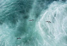 El Atlántico se expande cada año y los científicos sugieren el porqué en un nuevo estudio