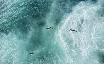 El Atlántico se expande cada año y los científicos sugieren el porqué en un nuevo estudio