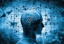 Covid-19: 6 formas de «reiniciar tu cerebro» tras un año difícil de covid-19