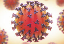 Variante de Sudáfrica del coronavirus podría afectar potencialmente la eficacia de la vacuna