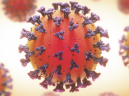 Variante de Sudáfrica del coronavirus podría afectar potencialmente la eficacia de la vacuna
