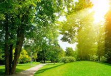 Pocas probabibilidades de lluvias para este viernes