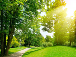 Pocas probabibilidades de lluvias para este viernes