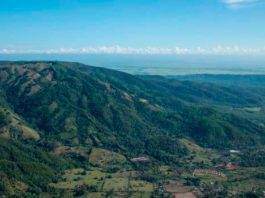 Ambientalista pide al Gobierno declarar irrecibible solicitud de Falcondo para explotar Loma Miranda