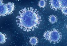 Encuentran en Nueva York una nueva variante del coronavirus que preocupa a científicos