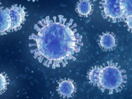 Encuentran en Nueva York una nueva variante del coronavirus que preocupa a científicos