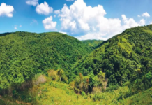 Falcondo retira solicitud de explotar Loma Miranda