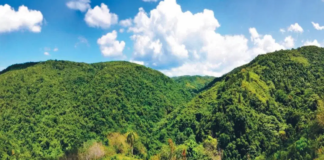 Falcondo retira solicitud de explotar Loma Miranda