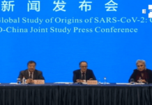El coronavirus tiene origen animal según misión de la Organización Mundial de la Salud en Wuhan