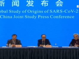 El coronavirus tiene origen animal según misión de la Organización Mundial de la Salud en Wuhan