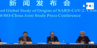 El coronavirus tiene origen animal según misión de la Organización Mundial de la Salud en Wuhan