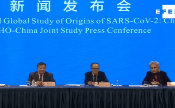 El coronavirus tiene origen animal según misión de la Organización Mundial de la Salud en Wuhan