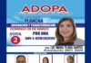 Luz María Tejada podría ser la primera mujer presidente del gremio de ADOPA