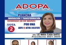Luz María Tejada podría ser la primera mujer presidente del gremio de ADOPA