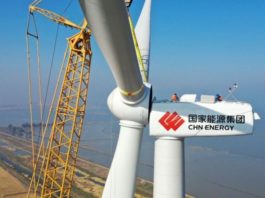 Cómo la demanda de energía limpia en el mundo amenaza una de las zonas más biodiversas de Ecuador