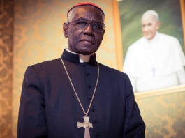 Cardenal Sarah: Nunca me he opuesto al Papa Francisco ¡Son disparates!