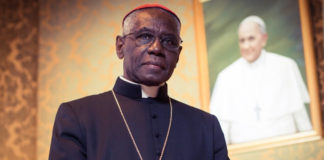 Cardenal Sarah: Nunca me he opuesto al Papa Francisco ¡Son disparates!