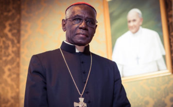 Cardenal Sarah: Nunca me he opuesto al Papa Francisco ¡Son disparates!