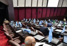 Los diputados dejan fuera las tres causales del aborto