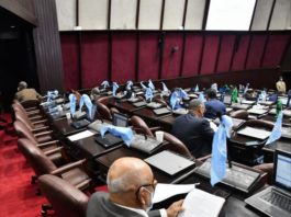 Los diputados dejan fuera las tres causales del aborto