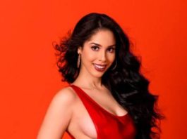 Identifican como otra modelo la mujer que cortó el rostro de ganadora de Miss Tierra RD 2020