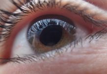Desarrollan implantes de retina que prometen dar una visión artificial a los ciegos