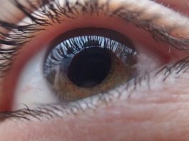 Desarrollan implantes de retina que prometen dar una visión artificial a los ciegos