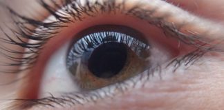 Desarrollan implantes de retina que prometen dar una visión artificial a los ciegos