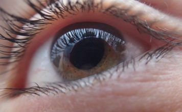 Desarrollan implantes de retina que prometen dar una visión artificial a los ciegos